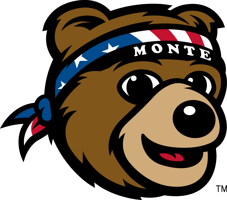 Montana Grizzlies 2010-Pres Mascot Logo iron on transfers for clothing